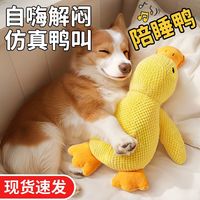 狗狗解闷毛绒玩具宠物自嗨发声鸭磨牙耐咬大型犬小狗专用玩具用品