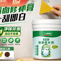 三棵树 漆修补膏墙面补墙膏乳胶漆白色腻子膏裂缝涂鸦修复遮盖防水防霉环保 补墙膏1kg