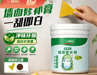 三棵树 漆修补膏墙面补墙膏乳胶漆白色腻子膏裂缝涂鸦修复遮盖防水防霉环保 补墙膏1kg