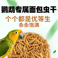 鹦鹉专属面包虫干鹦鹉专用饲料八哥牡丹小鹦玄凤虎皮鹦鹉高蛋白料