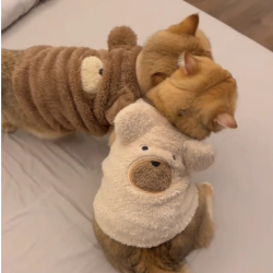 阿莫尔 金三柜同款猫咪金渐层秋冬衣服套头保暖宠物服装狗狗背心可爱拍照