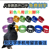 鹦鹉用脚环2026彩色铝合金定制八哥脚环专用开口脚环免费订制刻字