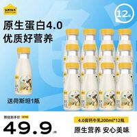 认养一头牛 4.0蛋白高钙牛乳 13瓶