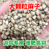麻子鹦鹉饲料增肥大颗粒火麻籽仁鸽子八哥仓鼠训鸟玄风牡丹小太阳