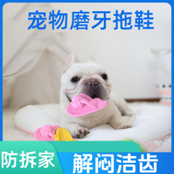 狗狗耐咬玩具磨牙训练拖鞋防拆家结实鞋子自嗨解闷小型犬泰迪宠物
