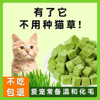 翡翠猫 健康翡翠猫宠物猫草粒猫草化毛排毛球片即食猫零食粒猫咪狗冻