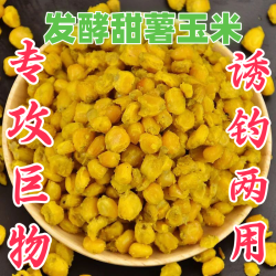 发酵老坛玉米窝料甜薯玉米果酸玉米野钓专用饵料