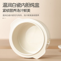 志高 电炖锅家用全自动养生锅隔水炖汤煲汤锅炖盅神器宝宝辅食锅