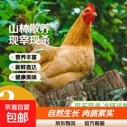 自营.农家散养老母鸡整鸡现宰现杀净重 老母鸡2只（4斤-4.5斤）