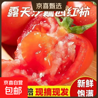 沙瓤西红柿2斤