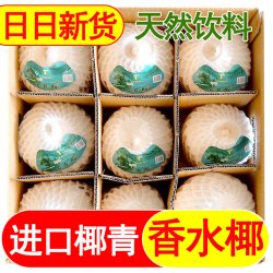 进口香水椰青大果泰国椰子越南香水椰子当季新鲜水果孕妇椰子水