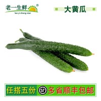 老一生鲜 新鲜蔬菜新鲜黄瓜1000g 带刺干花大黄瓜