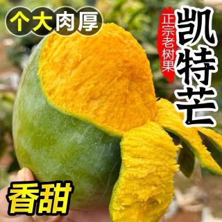 现摘攀枝花凯特大甜芒果新鲜水果当季整箱现摘青皮大芒果产地直发