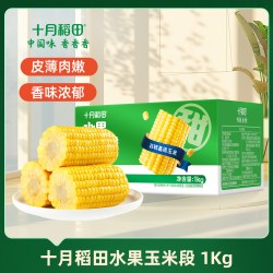 十月稻田 黄糯玉米段低脂粘黏软新鲜苞米东北真空装包装袋