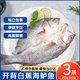 湄公大厨 三去开背 清蒸白蕉海鲈鱼 450g-550g/条 3条装