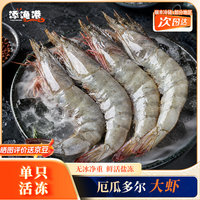 添渔港 厄瓜多尔白虾 单冻工艺 30-40只/斤 3斤