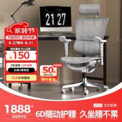 Ergonor 保友 优b雄鹰 人体工学电脑椅 银白网 可旋转可升降扶手