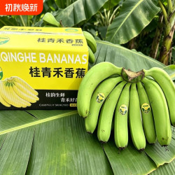 高山青皮甜香蕉新鲜水果自然熟无添加当季现摘现发绿蕉绿色香甜糯