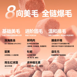 朗诺 新品猫干粮全价主食冻干五珍桶试吃福利 15g*3