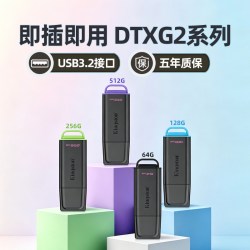 金士顿 DataTraveler系列 DTKN USB 3.2 U盘 USB-A