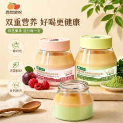 西域美农 欧若姆双色奶皮子酸奶200g内蒙特产高钙乳制品非干噎酸奶