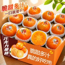 果天赐 脆柿子新鲜水果太秋巧克力脆柿脆甜阳丰柿子大果冰糖心礼盒无核