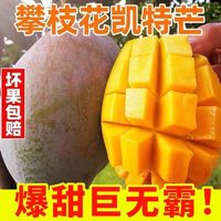 攀枝花凯特芒大脸芒新鲜应季芒果当季水果青皮大凯特