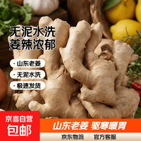 山东超市品质精品生姜2斤净重1.8