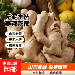 山东超市品质精品生姜2斤净重1.8