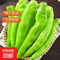 新鲜青辣椒尖椒带箱2斤