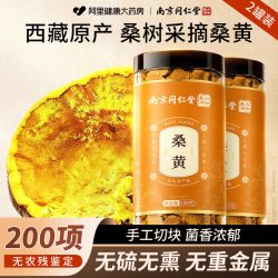 丽天承 南京同仁堂西藏桑黄官方旗舰店正宗灵芝桑树采摘非中药材野生桑黄