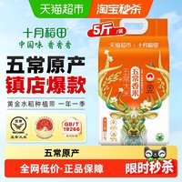 移动端、88VIP：十月稻田 五常香米 东北大米