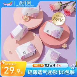 Tmaxx 超薄迷你巾护垫女纯棉抑菌加长无香型卫生巾护垫大号 5包