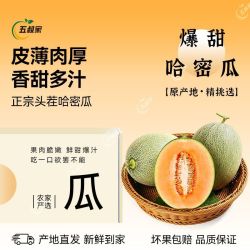 五叔家 哈密瓜 4.5斤起 西州蜜 新鲜脆甜多汁