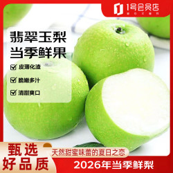 1号会员店 趣尝鲜 砀山翡翠玉梨 净重5斤 单枚250g起 26年新梨 源头直发包邮