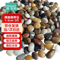 Mosey Land 鹅卵石鱼缸造景石头雨花石庭院装饰园艺石底砂铺路石1-3cm彩色5斤