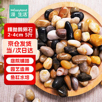 Mosey Land 鹅卵石雨花石庭院装饰鱼缸造景石铺路天然小石子 2-4cm彩色5斤