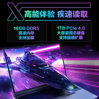 机械革命 极光X U7-251HX RTX5060 300Hz屏 灰色 16GB+1TB 游戏本