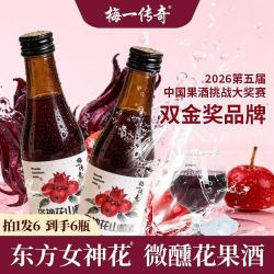 梅一传奇 洛神花山楂酒 甜型果酒