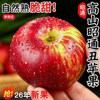 京地达 云南昭通丑苹果 净重4.5斤 单果80mm+ 新鲜水果源头直发包邮