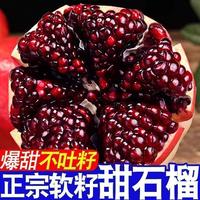 正宗四川会理突尼斯软籽石榴当季高山种植新鲜大凉山石榴