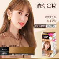 Liese 泡沫染发剂染发膏遮白发泡泡染黑茶黑色