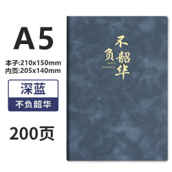 琛奈 笔记本本子礼盒套装记事本商务伴手礼送老师礼物logo A5深蓝/不负韶华/加厚200页