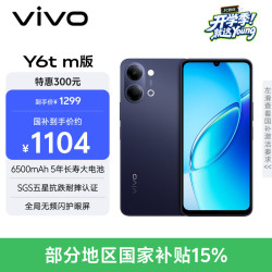 vivo Y6t m版 6GB 256GB 暮夜黑 6500mAh 5年长寿大电池 SGS五星抗跌耐