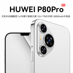互未 手机P80Pro5G全网通 旗舰天玑9500芯 超薄大屏6.99英寸144Hz高刷畅玩游戏1TB