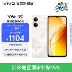 vivo Y6t 6500mAh耐用大电池 SGS五星抗跌耐摔认证 全局无频闪护眼屏 IP65GB