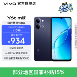 vivo Y6t m版 6500mAh耐用大电池 SGS五星抗跌耐摔认证 IP65生活防水 新品手机 暮夜黑 4GB+128GB