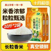 百亿补贴：十月稻田 长粒香5kg*2袋20斤颗粒饱满米香四溢黑土