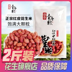 盛泰壹斗粮 2斤红皮花生新货生花生新鲜四粒红花生批发