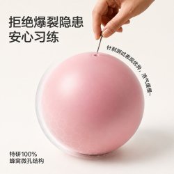 斯朗盾 悬垂腹修复瑜伽球 直径25cm